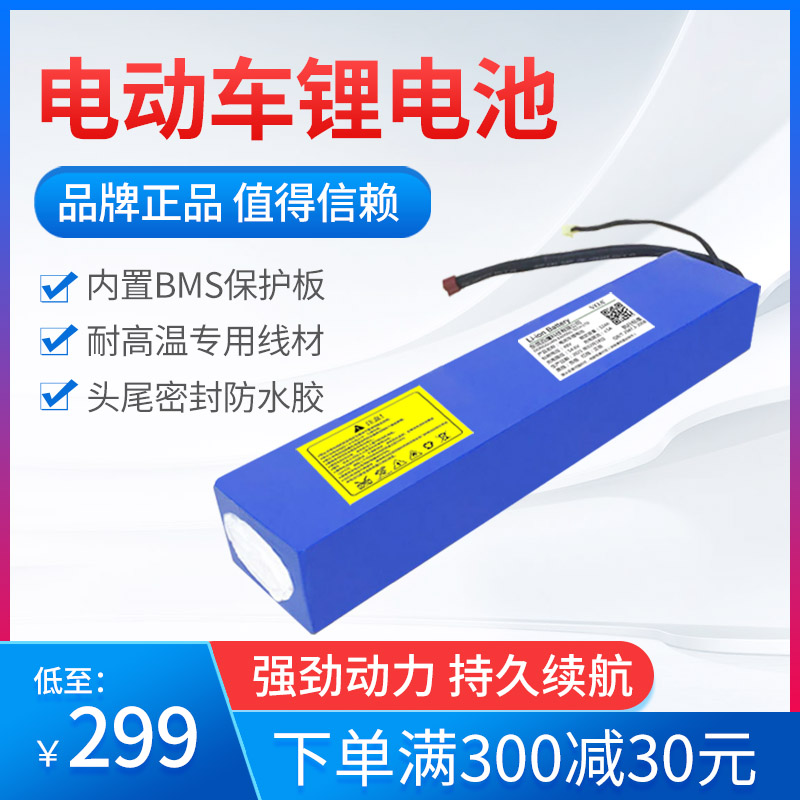 VOA 电动车锂电池36v滑板车锂电池48FV锂电池48v电动车电瓶24v电