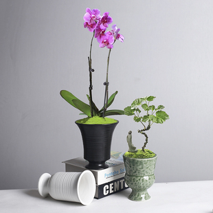 窑变北欧风陶瓷花盆家用客厅摆件花盆多肉绿萝蝴蝶兰红掌文竹花器