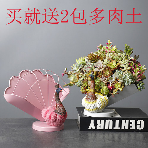 铁DIY多肉拼盘创意孔雀动物花盆