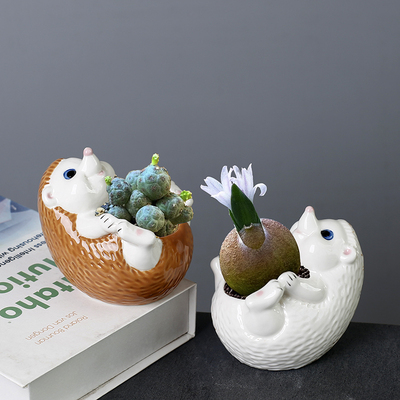 卡通多肉花盆陶瓷可爱动物个性精致小号肉肉盆ins家用桌面透气盆