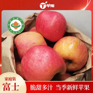 丁苹果烟台红富士有机苹果当季新鲜苹果脆甜多汁果园直发现货