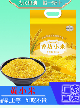和粮溢田香坊小米2.5kg东北黄小米5斤小黄米熬粥粗杂粮米油脂丰厚