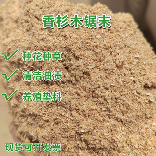 香杉木60锯木灰细灰锯末粉木屑木糠粉种花种草去油渍试验养殖垫料