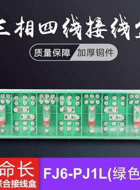 纯铜 FJ6/PJ1L绿色型三相四线电能计量箱联合接线盒 3*4 分线端子