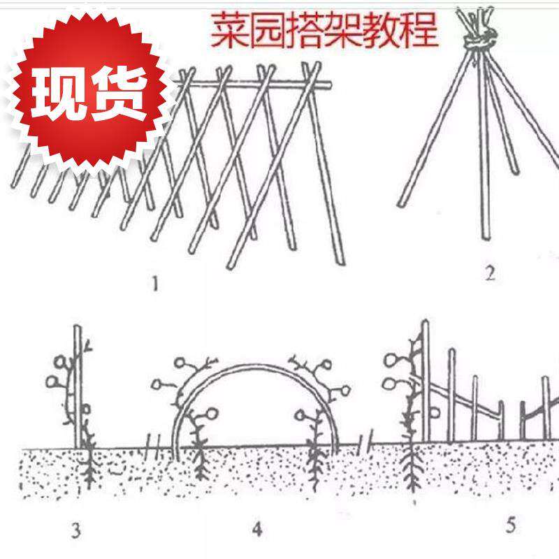 搭架子铁丝竹竿对接头细f竹竿细长稳定搭架绳子家用竹竿西红柿搭