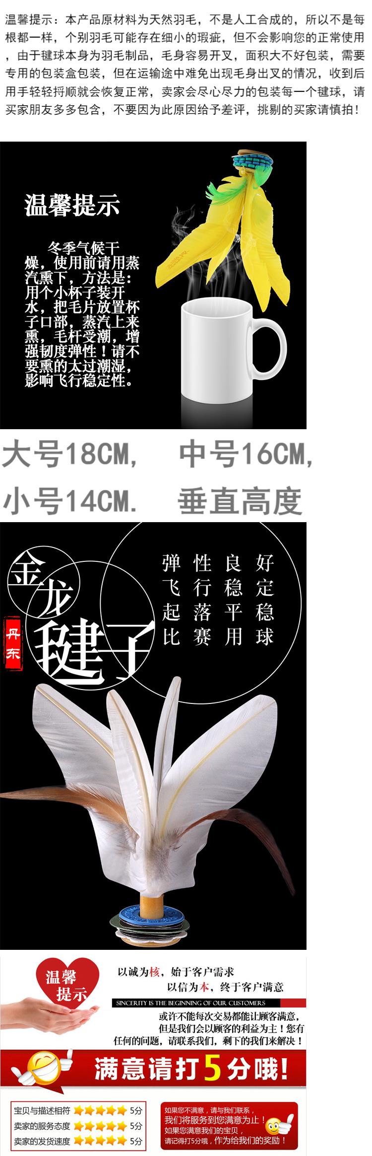 Trung Quốc đào tạo thể dục cho người lớn trường tiểu học trẻ em Đan Mạch Jinlong cạnh tranh trường mẫu giáo đặc biệt chống lông gà đá - Các môn thể thao cầu lông / Diabolo / dân gian cầu đá lông gà