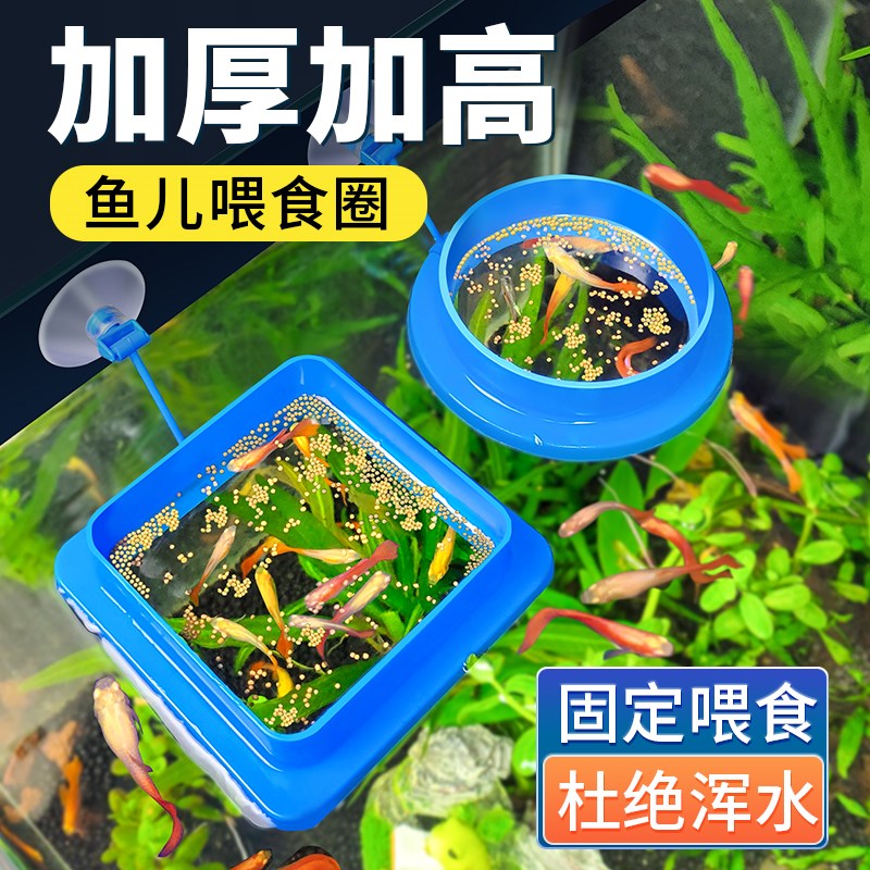 鱼缸喂食器漂浮喂食圈水族小w型鱼孔雀鱼喂鱼神器防飘散饲料投食