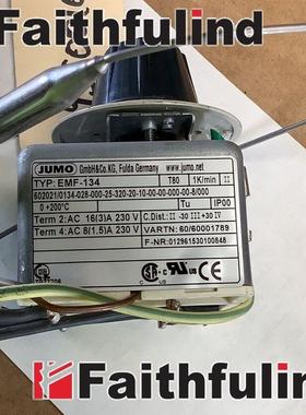 议价Jumo 60001789 久茂温度传器 EMF-134 602021/0134 200度