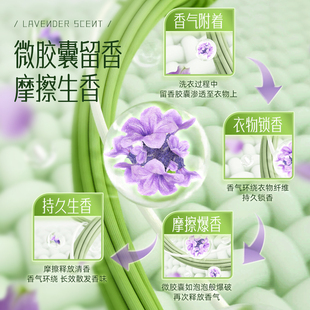 蓝漂香氛洗衣液深层去渍持久留香成人宝宝通用温和护衣ff