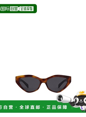 CELINE 女士太阳镜 4S323CPLB19HD AW2025 花色 全框太阳镜