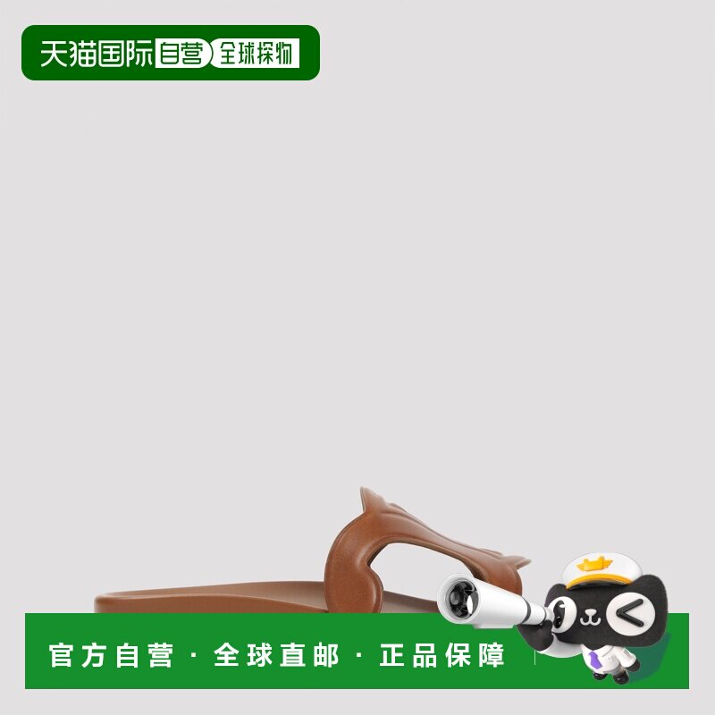 CELINE 女士凉鞋 36736534804LU AW2026 棕色 Celine Triomphe Sl图片