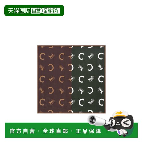 1h可退 奢淘 Celine 方形丝巾 女 2AW902R433