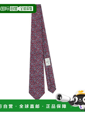 1h可退 ETRO 男士领带 AQ402MASA0001S9865 SS2026 紫色 Etro Tie