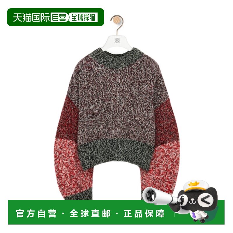 LOEWE 女士针织衫 S540Y14KF04788 SS2024 花色 圆领羊毛毛衣