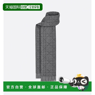 CHRISTIAN DIOR 男士围巾 61E0004A0016989 SS2026