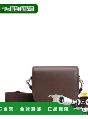 CELINE 男士斜挎包 117883GAO18CH SS2025 棕色 小号翻盖单肩包