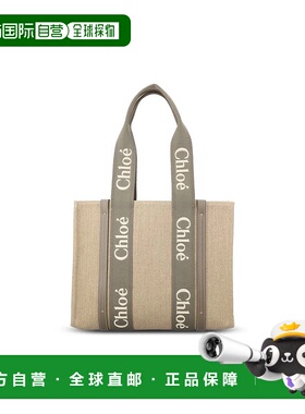 CHLOÉ 女士单肩包 CHC23AS383L17036AI25 AW2025 灰色