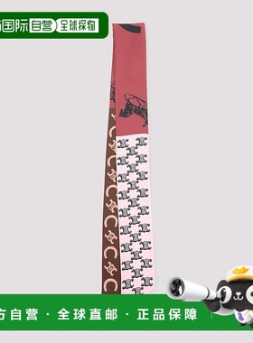 CELINE 女士围巾 AA0A62W99FZR5 SS2026 紫色 图案丝巾