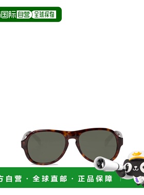 CELINE 男士太阳镜 4S298CPLB19TR AW2024 棕色