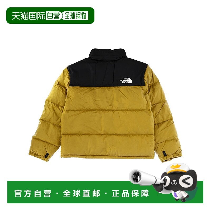 THE NORTH FACE 男士户外冲锋衣 NF0A3C8DDCO1 AW2025
