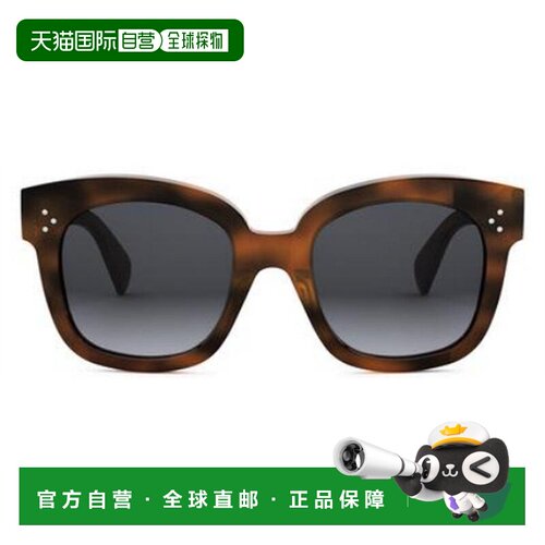 CELINE 女士太阳镜 CL4002UN53B SS2025 配饰眼镜棕色