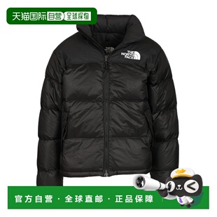 THE NORTH FACE 男士户外冲锋衣 NF0A3C8DGOE AW2025北面