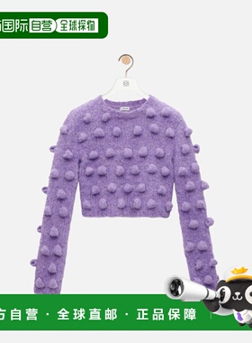 LOEWE 女士针织衫 S359Y14KF96100 AW2024 紫色 LOEWE sweater