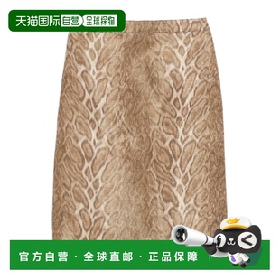 棕色 CELINE SS2025 RJ02A0H5102GI 图案半身裙 女士半身裙