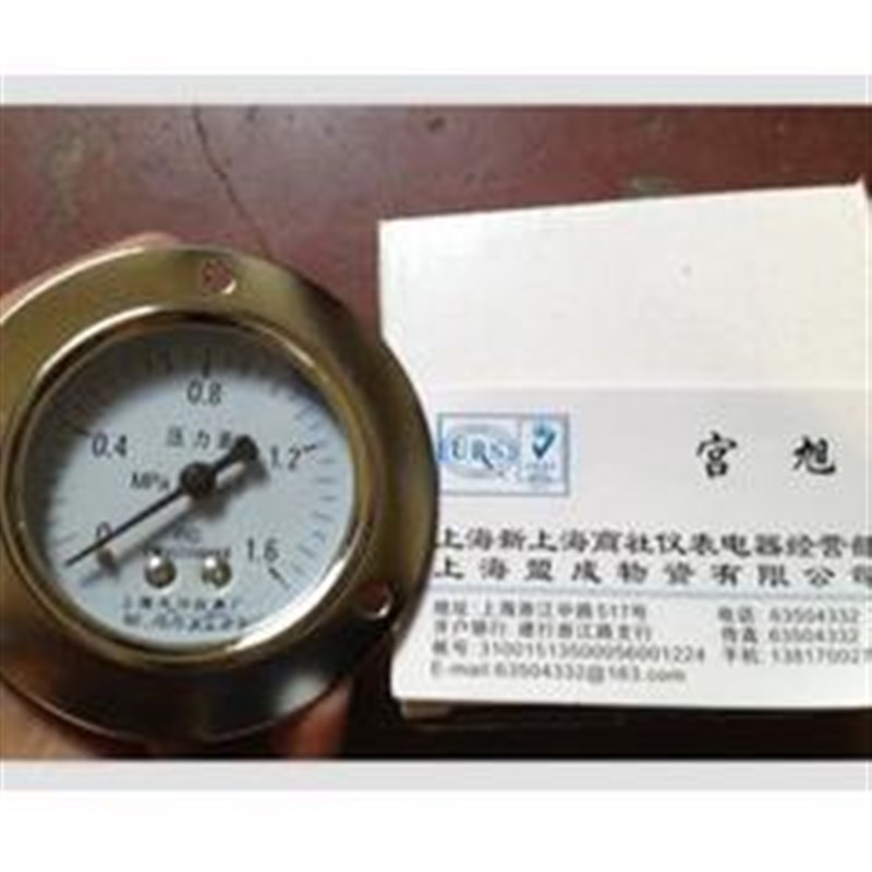 上海天川Y-100ZT轴向带边压力表0.25/0.4/0.6/1/1.6/2.5/4/6MPA