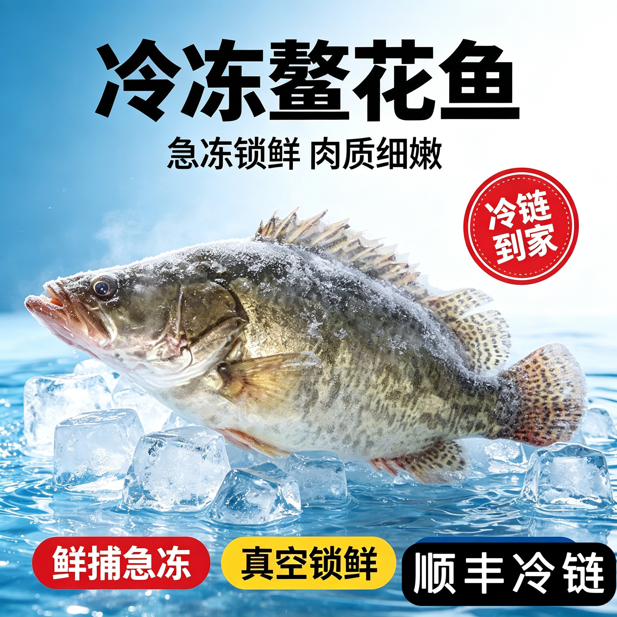 桂鱼鳜鱼鳌花鱼桂花鱼熬花东北黑龙江特产冷水新鲜冷冻淡水鱼顺丰