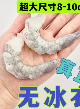 超大号青虾仁无冰特级鲜冻特大号冷冻鲜活海去虾线现剥虾肉