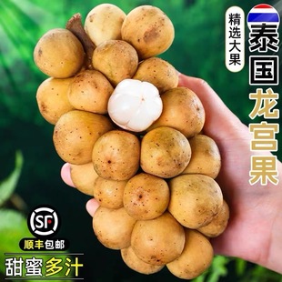 顺丰包邮泰国龙宫果进口龙贡果椰色果新鲜当季水果