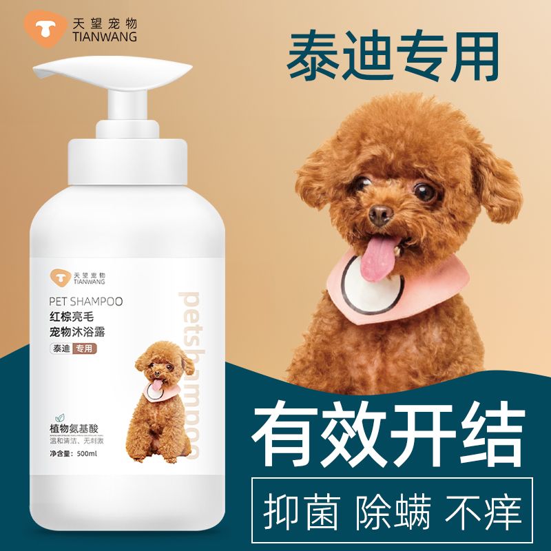 天望泰迪专用除臭止痒留香沐浴露