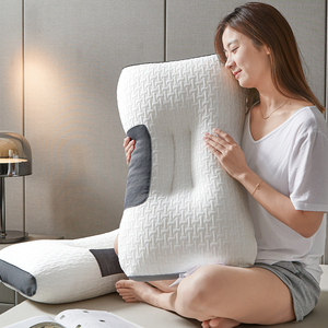 新品（床上用品）枕头一只装枕芯护颈枕椎助睡眠双单人家用两只装