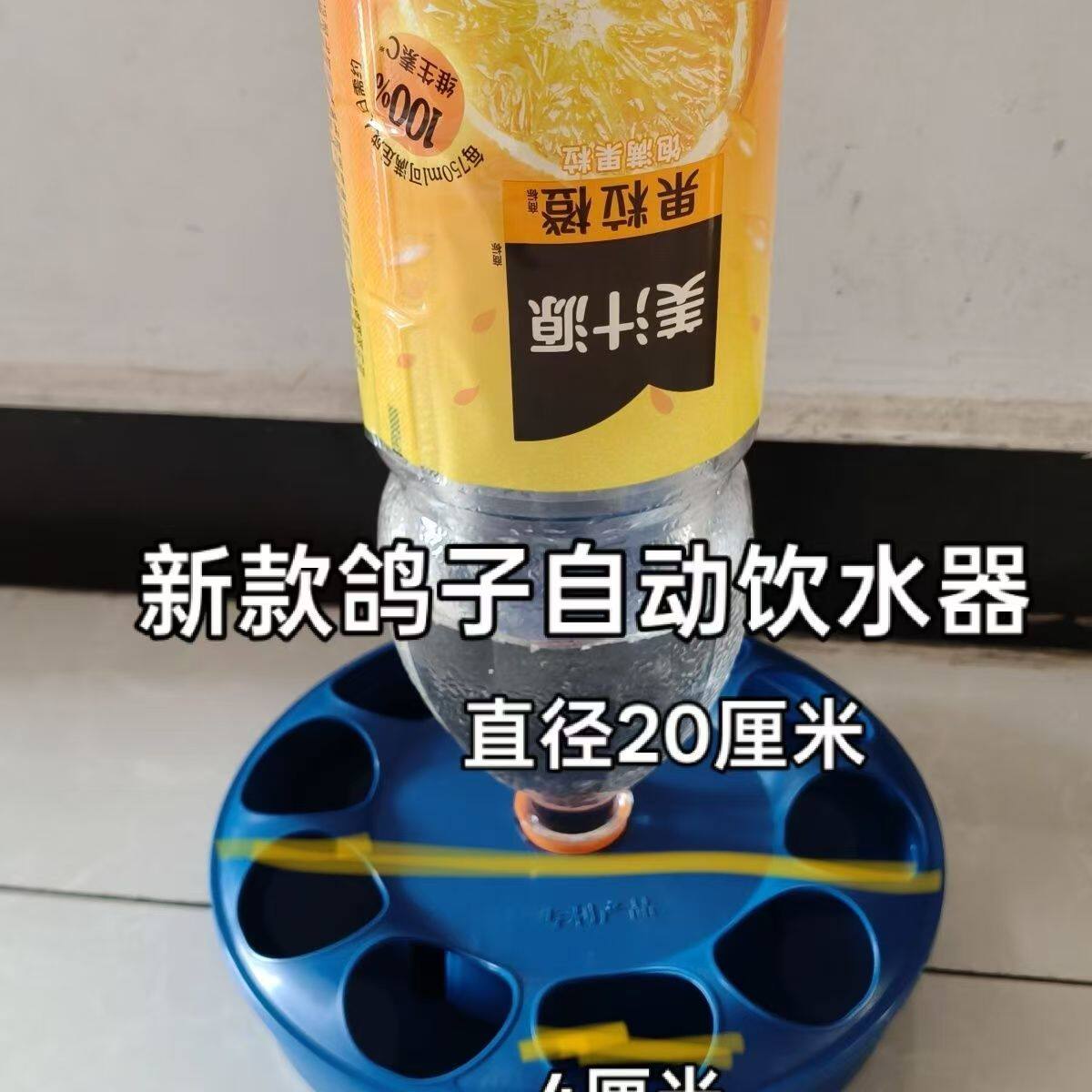 鸽子水槽自动喂水器带盖食盒鸡鸭畜牧/养殖器械