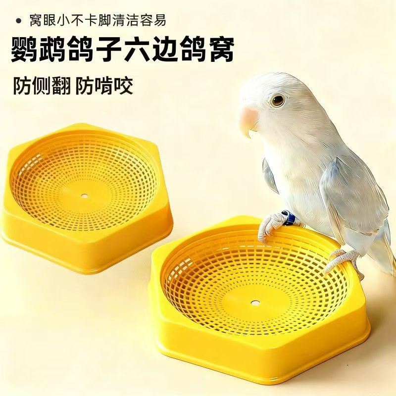 新款六边鸽子窝鸽具各种鸽子大全棉绳手工信鸽赛鸽下蛋窝鸽窝鸽巢