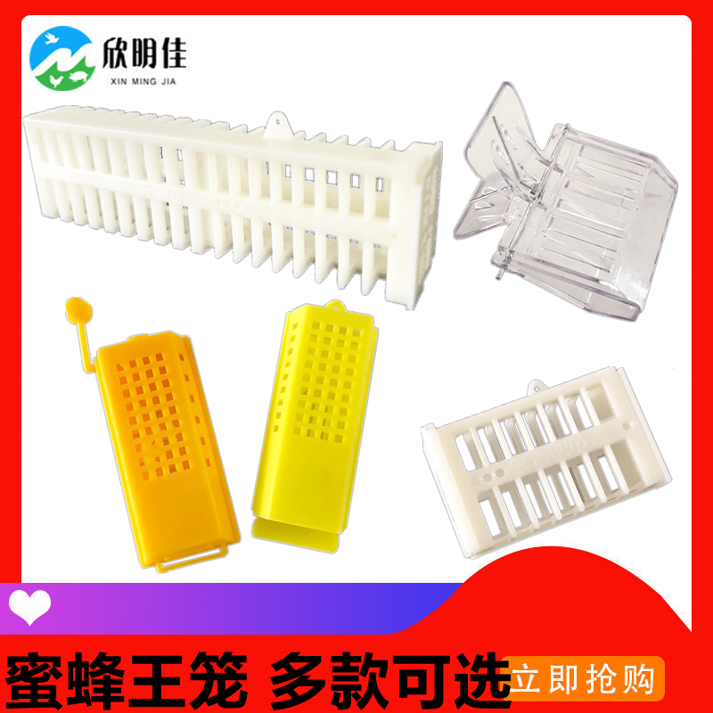 蜂王笼多功能塑料蜜蜂王笼中蜂意蜂囚王龙介王笼关王捉蜜蜂笼蜂具