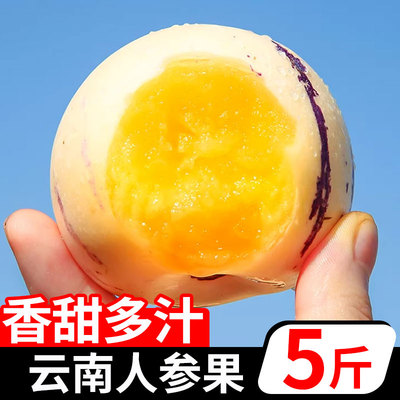 云南石林人参果黄果新鲜人叁果