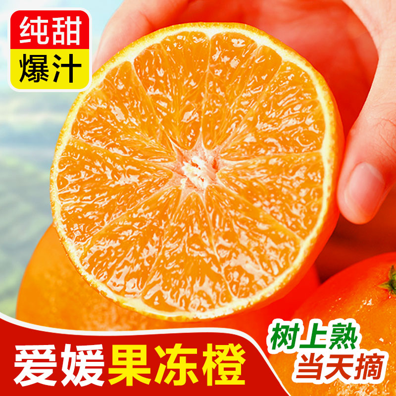 特价!仅限一单,爱媛果冻橙大果