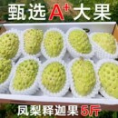 新鲜释迦果5斤新鲜凤梨牛奶佛头果现摘番荔枝释迦牟尼果整箱 包邮