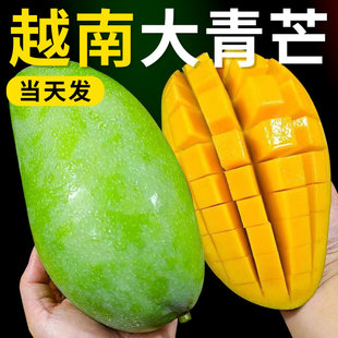 正宗越南大青芒果新鲜孕妇水果特大甜心芒果金煌芒整箱当季青皮