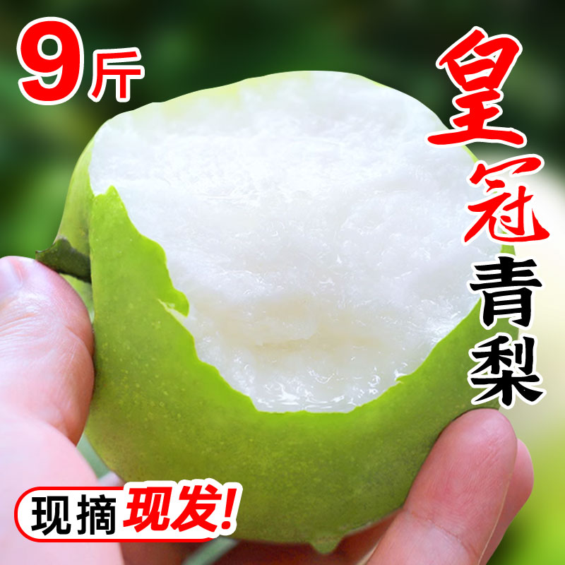 9斤装皇冠青梨当季现摘整箱图片