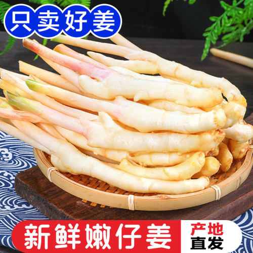 嫩姜新鲜现挖嫩仔姜包邮
