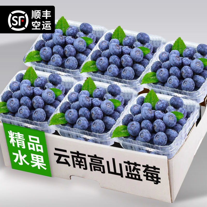 顺丰空运云南花香蓝莓当季大果