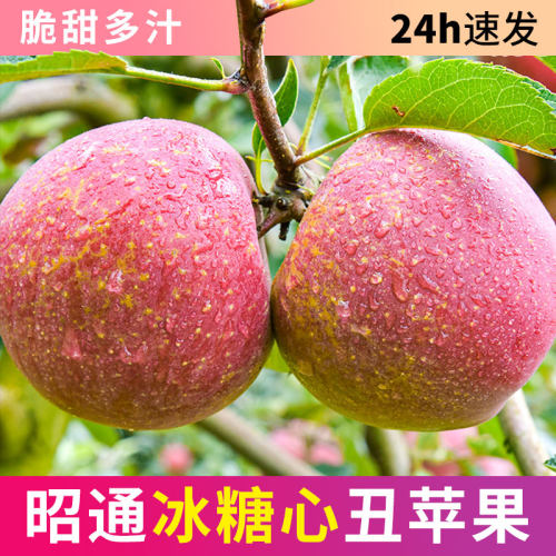 特价限1单！云南昭通丑苹果8个装