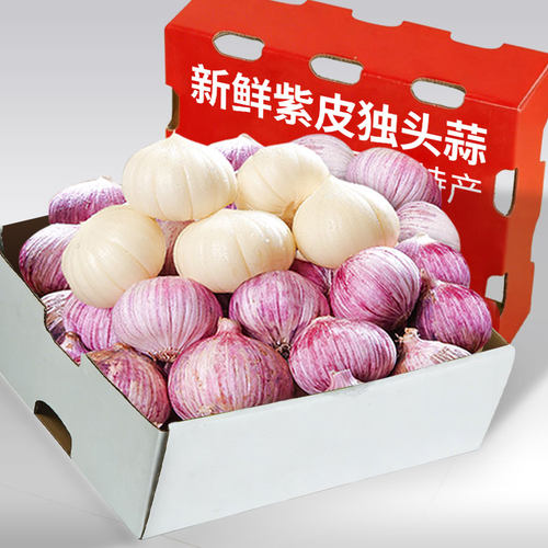 独头蒜云南紫皮津果鲜包邮