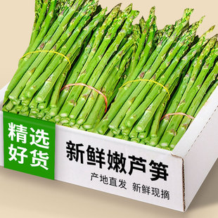 新鲜芦笋产地直销现挖5斤嫩青笋绿鲜芦笋嫩当季蔬菜包邮卢笋3现挖