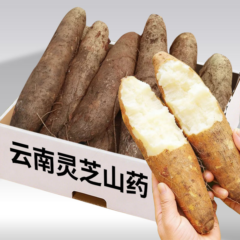 云南特产现挖新鲜灵芝山药