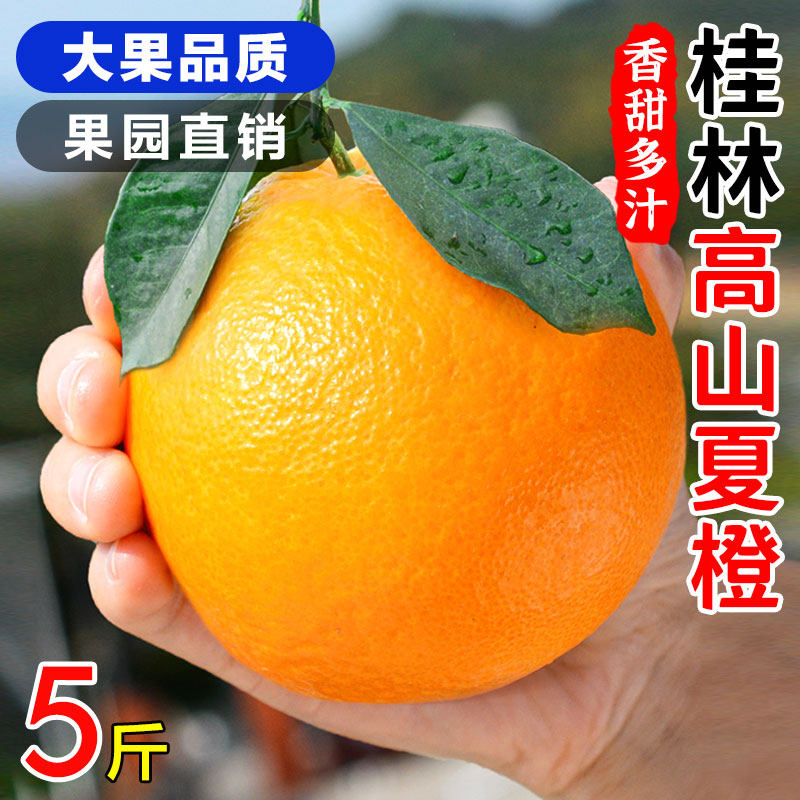 新鲜广西广西夏橙津果鲜包邮