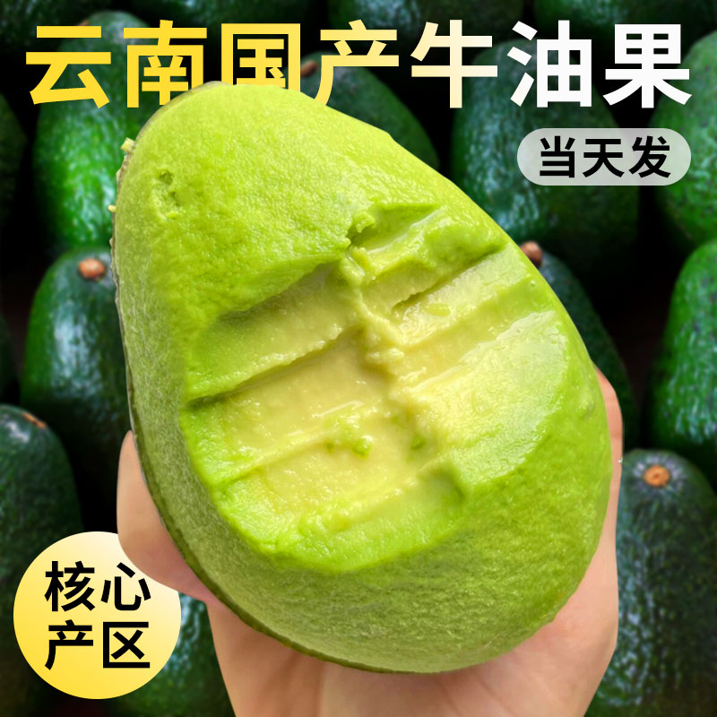 云南哈斯牛油果牛油果国产新鲜水果当季鳄梨哈斯果包邮